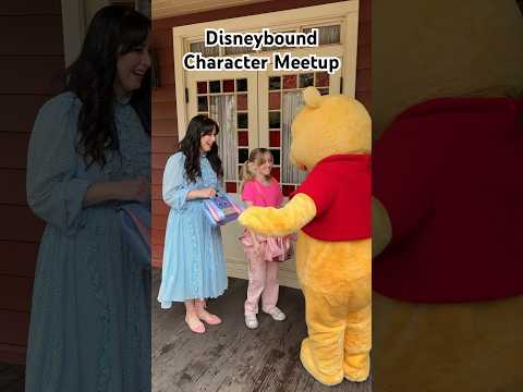 Meeting Pooh and Eeyore dressed as Eeyore and Piglet! #disney #disneystyle #disneybound #pooh #cute