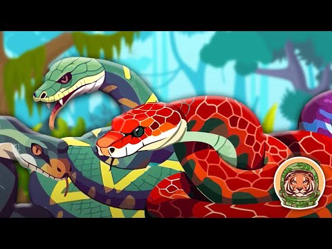 The Viper Song | Animal Songs For Kids | KLT WILD