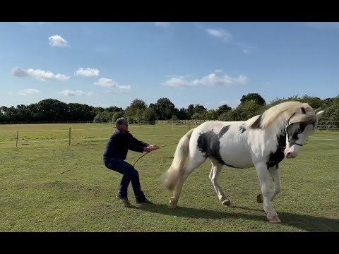 Beautiful Troubled Horse Saves a Man In Need! Amazing Story!