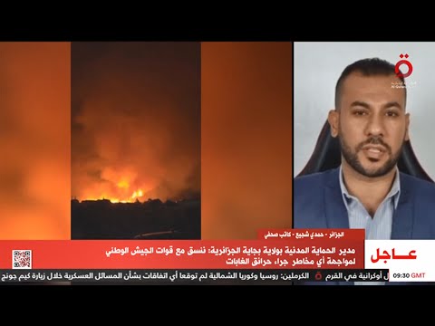 حمدي شجيع للقاهرة الإخبارية: الجزائر باتت لديها خبرة في التعامل مع الحرائق