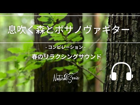 Natural Sonic 「 息吹く森とボサノヴァギター」- コンピレーション - 春のリラクシングサウンド