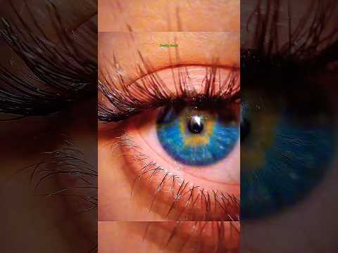 The Most Beautiful Eyes 👁 #viralshort #viralvideo #memes #4u #foryou #aura #funny #fun #tiktok