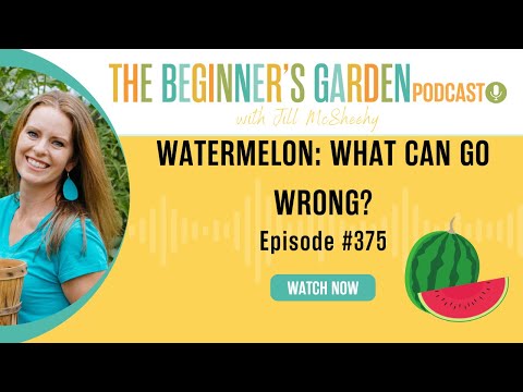 Watermelons: What Can Go Wrong?