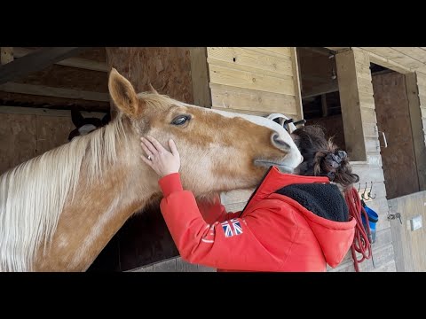 The horse cuddle test!!