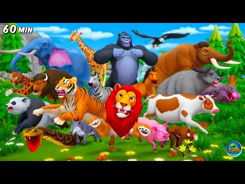 Best of Toon Animals: Funny Farm vs Wild Compilation | Animal Adventures Compilation 60 Min