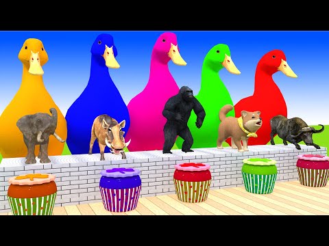 5 Giant Duck Cartoon,Cow,Elephant,Giraffe,Tiger,Lion, Paint Wild Animals Crossing Fountain Animation