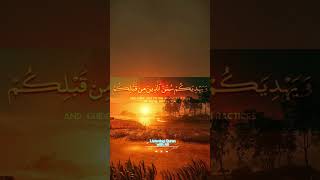 جميل. تلاوة الصباح القرآن|| Morning Vibes||#daily #morningprayer #viral #islamic #quotes #nature