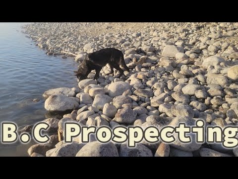 Prospecting With My Daughter And Dog ( we found gold)Part 1#prospecting #gold