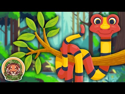 Learn About Cobras! | Animal Songs For Kids | KLT WILD