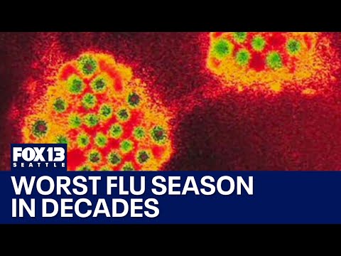 US sees worst flu season in decades as vaccine focus shifts | FOX 13 Seattle