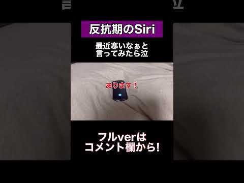 Siriに最近寒いなぁと言ってみたらめちゃくちゃすぎた泣#shorts #siri #アレクサ