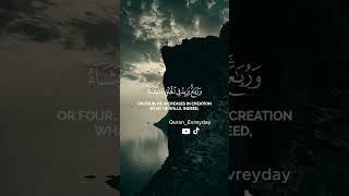 الحمد لله فاطر السموات والأرض - ياسر الدوسري - سورة فاطر #ياسر_الدوسري #قرآن #سورة_فاطر