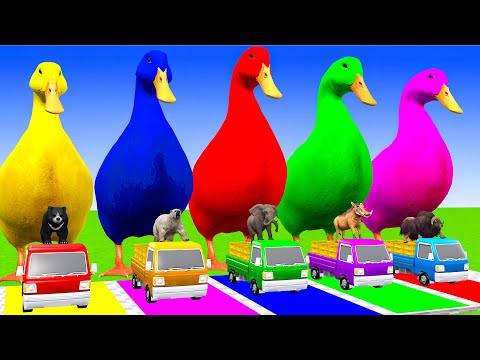 5 Giant Duck Game,Super Mario ,Tiger, Cow,Lion,Paint Wild Animals Crossing Fountain Animation