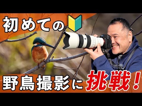 ガチ初心者が初めて野鳥撮影に挑戦してみた結果…