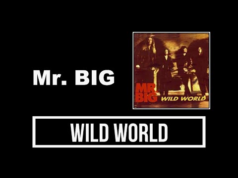 Mr. Big - Wild World Lyrics