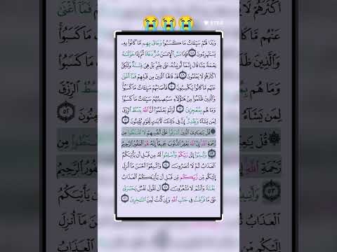 القرآن الكريم -- سورة الزمر - الآية 53 #اكسبلور #qurankarim #duet #تيك_توك #القرآن_الكريم