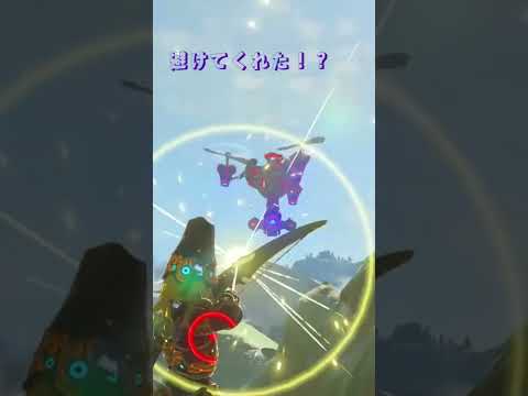 ビームを逸らしてくれる優しいガーディアン #zeldabotw