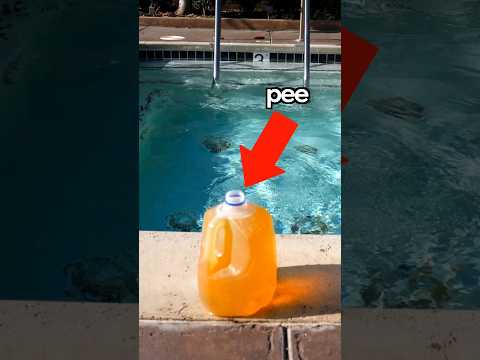 How much pee is in a pool?