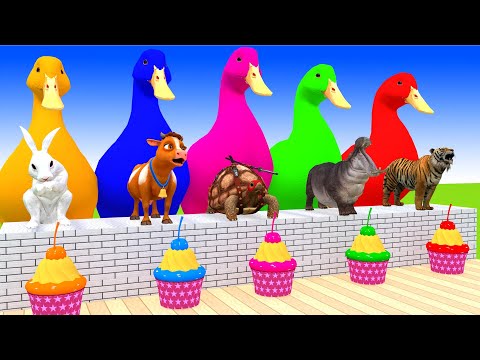 5 Giant Duck Cartoon,Cow,Elephant,zebra,Tiger,Lion, Paint Wild Animals Crossing Fountain Animation