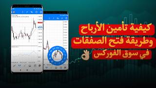 كشف أسرار التداول الآمن على Metatrader 5 وزيادة أرباحك إلى الحد الأقصى