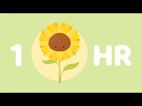 sunflower 🌻 (1 hour) : cute music