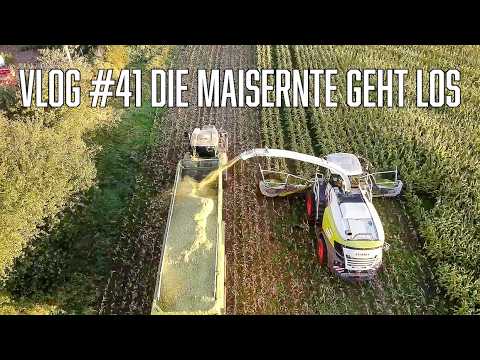 Farm-Vlog #41 Wir starten in die Maisernte. Außerdem müssen noch über 100 ha Gras nach Hause