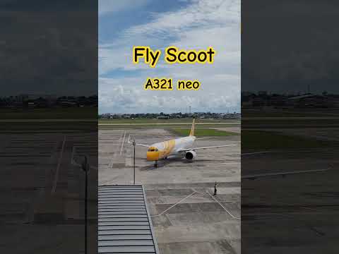 Scoot Airlines flight from Singapore at Mactan Cebu Int'l Airport #kuyabogpilotzn #flyscoot #a321neo