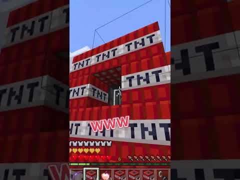 【マイクラ】伝説のゾンビを倒そうとした者の末路　【#shorts】【#ゆっくり 】【#minecraft 】