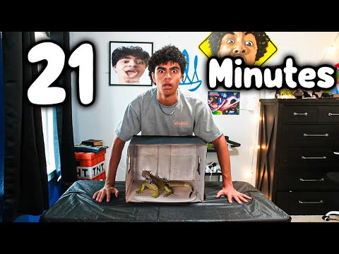 21 Minutes of WHATS IN THE BOX (FT. YIKES / WUNBA)