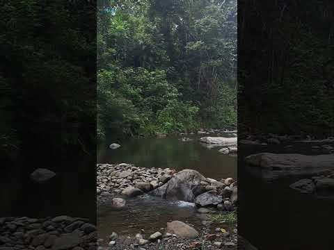 Relax on River and Rocks (Yara River Camp) #Palawan #islandlife #shorts #Foods #Music #river #nature