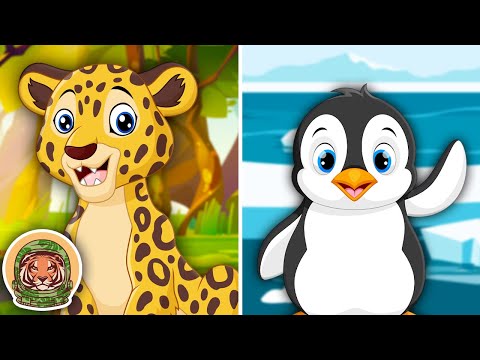 Learn About Animals That You Could Find In A Zoo! | Animal Songs For Kids | KLT WILD