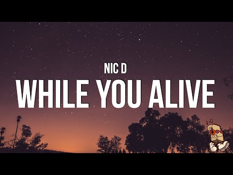 Nic D - While You Alive (Lyrics)