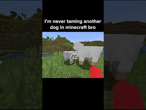 Minecraft Dog Moment