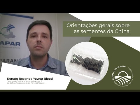 O que se sabe sobre as sementes da China recebidas no Paraná?