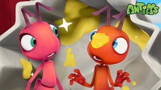 Cupcake Cream Chaos | Antiks 🐜 | Funny Cartoons for Kids