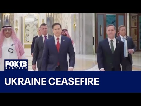 Ukraine agrees to ceasefire proposal