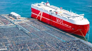 Os maiores navios que transportam cargas e pessoas