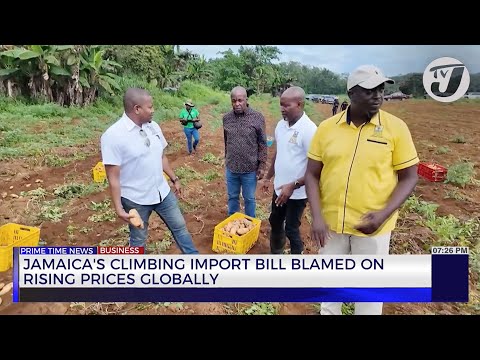 Jamaica's Climbing Import Bill Blamed on Rising Prices Globally | TVJ News