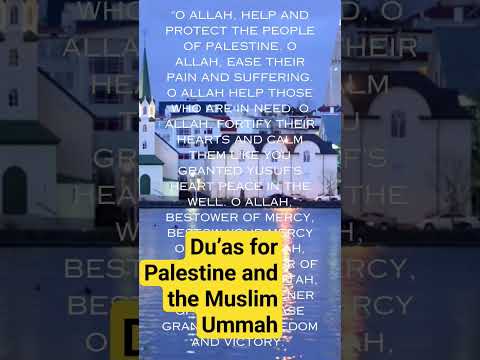 Du’as for Palestine and the Muslim Ummah #islamicvideo #dailydua #muftimenk #islamicyoutube #islam