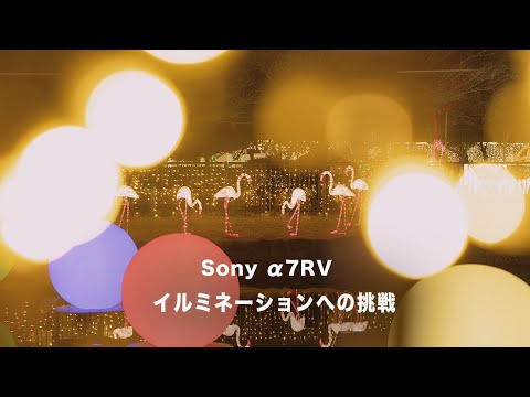 【Sony α7RV】でイルミネーションを撮影してみた！