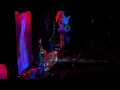 P!nk Performs “Who Knew” LIVE at Camping World Stadium 11.18.24 Orlando, Florida