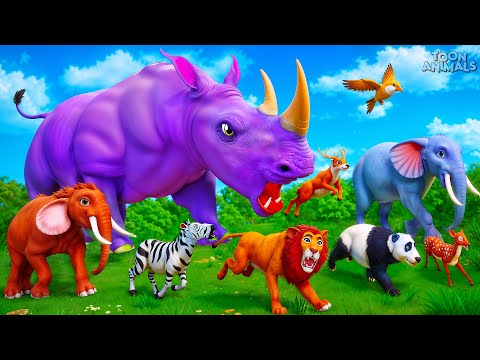 Monster Rhino's Jungle Rampage: Lion King and Forest Animals Epic Encounter | Animal Revolt Battles