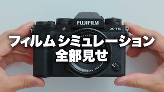 【FUJIFILM】富士フイルムのフィルムシミュレーション全見せ！（タイムライン活用、1.5倍速推奨）