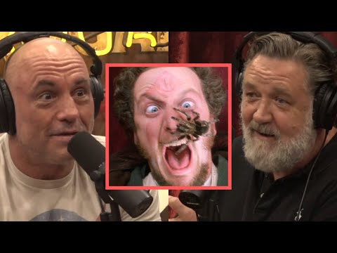 Crazy TARANTULA Story From The Set | Joe Rogan & Russell Crowe