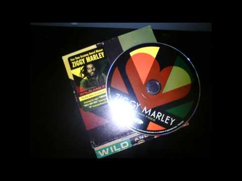 Ziggy Marley  - it ft. heavy d