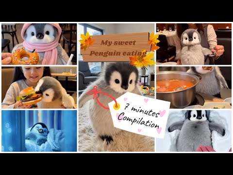 My sweet penguin likes to eat, bilingual music. Música para niños en ingles y español