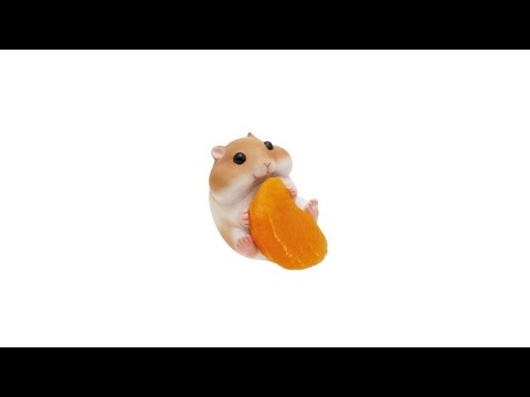 pov: you're a chubby hamster ٩(^ᗜ^ )و ´-  *energy boost playlist ⭑.ᐟ*