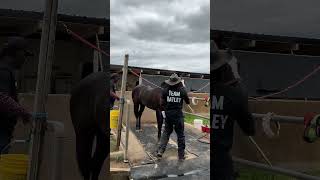 The First Black Family To Race Quarter Horses In Texas