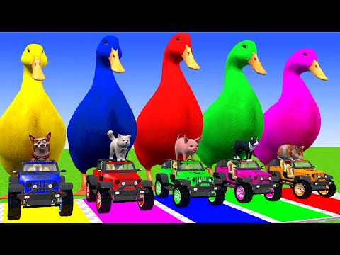 5 Giant Duck Cartoon,Super Mario ,Tiger, Cow,Lion,Paint Wild Animals Crossing Fountain Animation