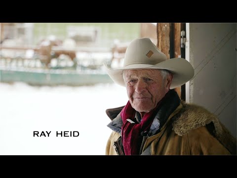 Steamboat Stories — Ray Heid